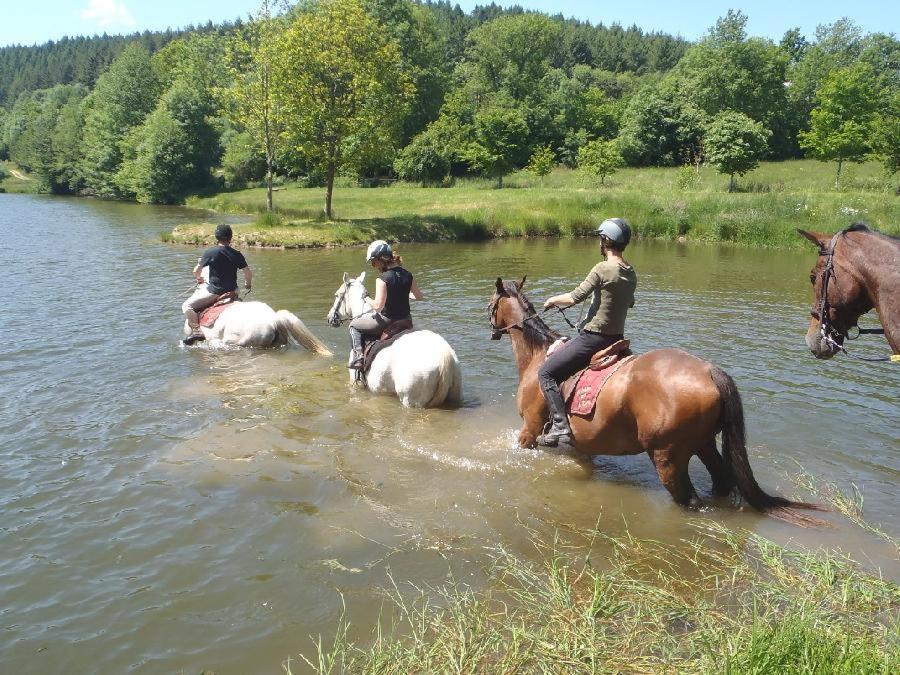 Le Relais Des Lacs Bourgogne Morvan Hotel Planchez ภายนอก รูปภาพ